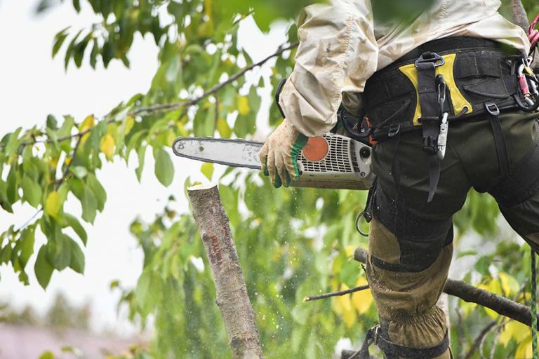 How long does it take to an Arborist? Does it pay well?