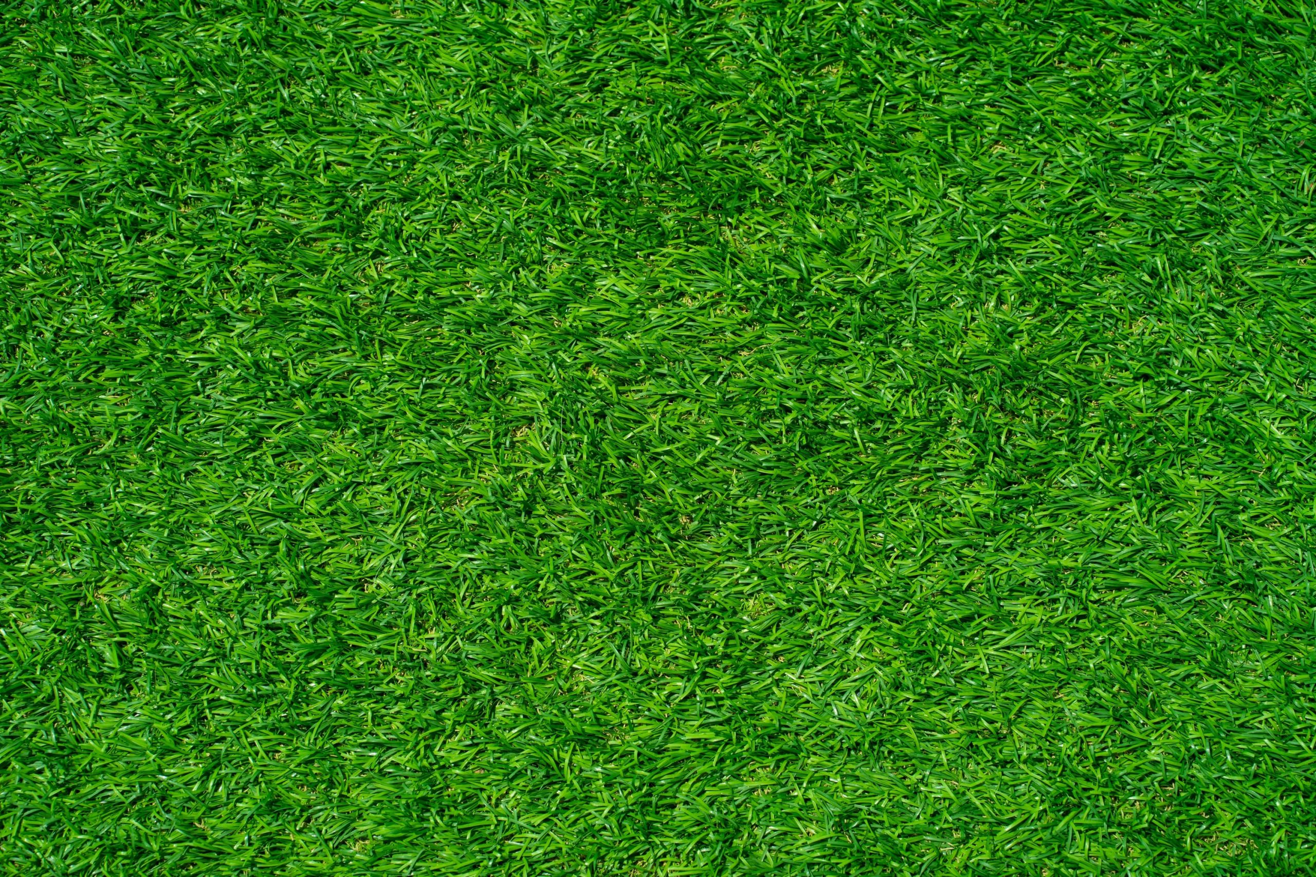 How much does it cost to install artificial grass in Australia and what are the advantages and disadvantages?