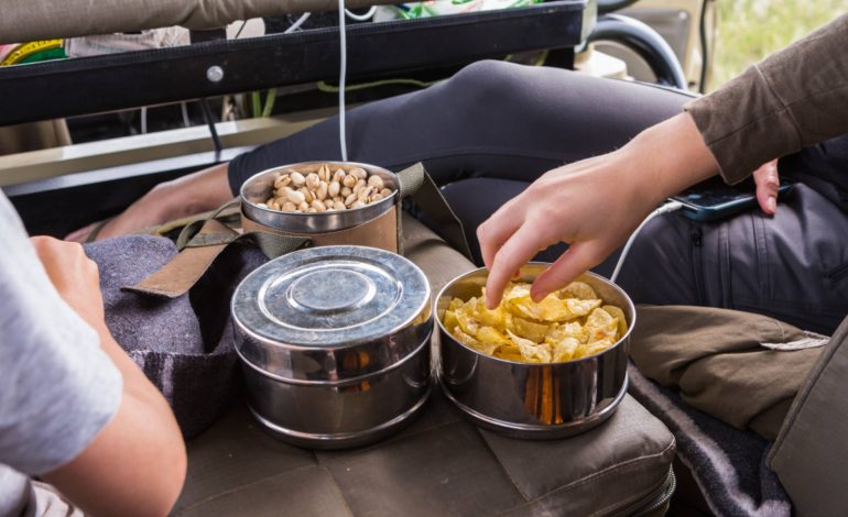 Why backpackers choose a food dehydrator: Features and safety